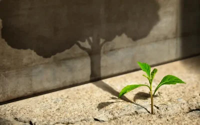 Data Collection for Evaluating Industry Partnerships